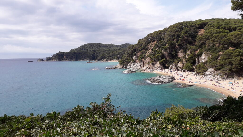 Playa de Fenals