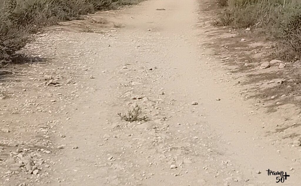 Park Archeologiczny Nea Pafos - ścieżka