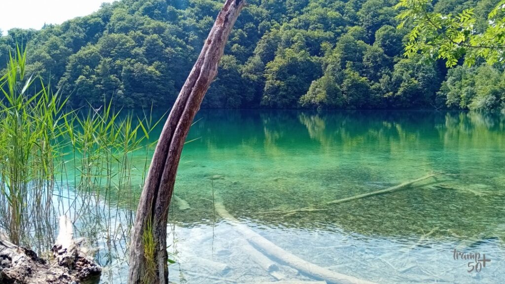 Jeziora Plitwickie w Chorwacji - jezioro