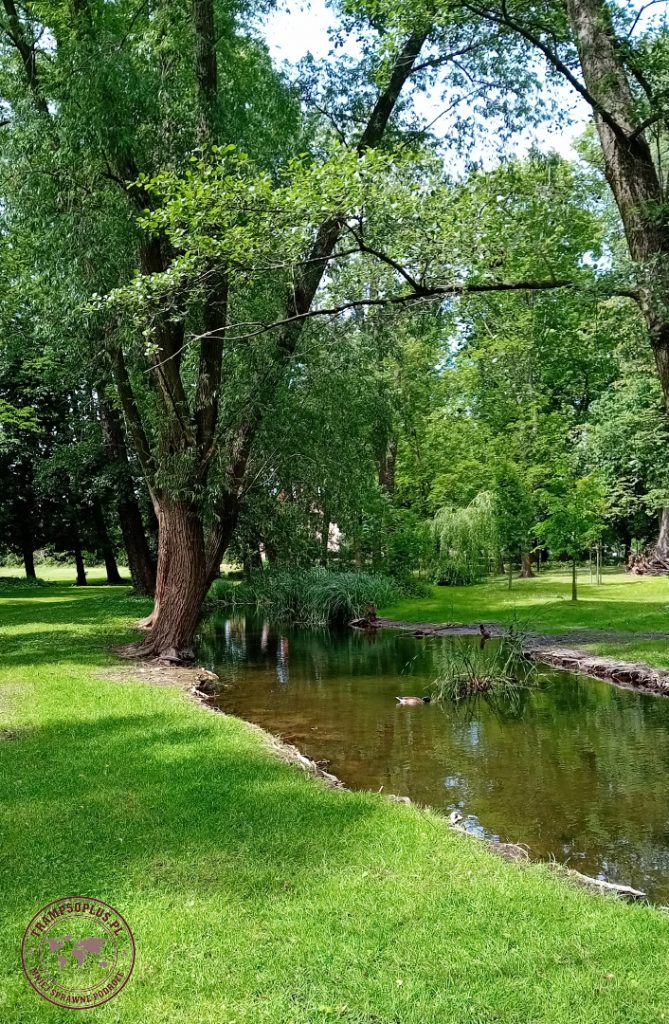 Park przy zamku w Osiecznej