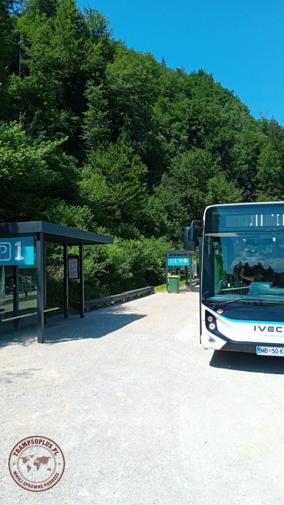 Darmowy autobus do wąwozu Vintgar